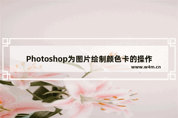 Photoshop为图片绘制颜色卡的操作步骤