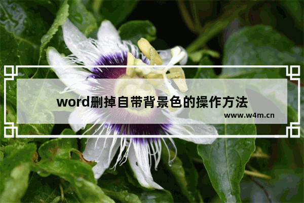 word删掉自带背景色的操作方法