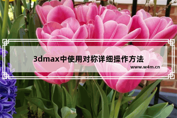 3dmax中使用对称详细操作方法