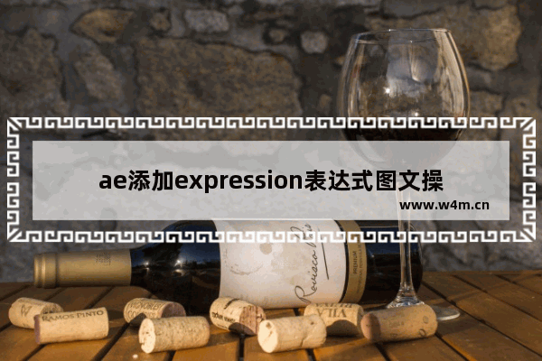 ae添加expression表达式图文操作