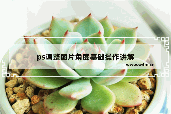 ps调整图片角度基础操作讲解