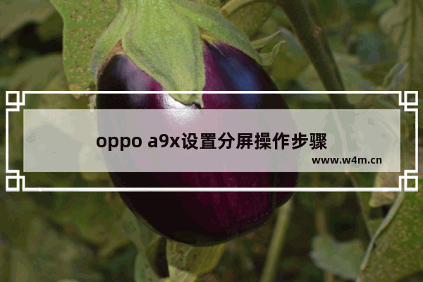 oppo a9x设置分屏操作步骤