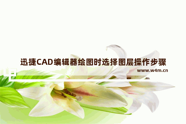 迅捷CAD编辑器绘图时选择图层操作步骤