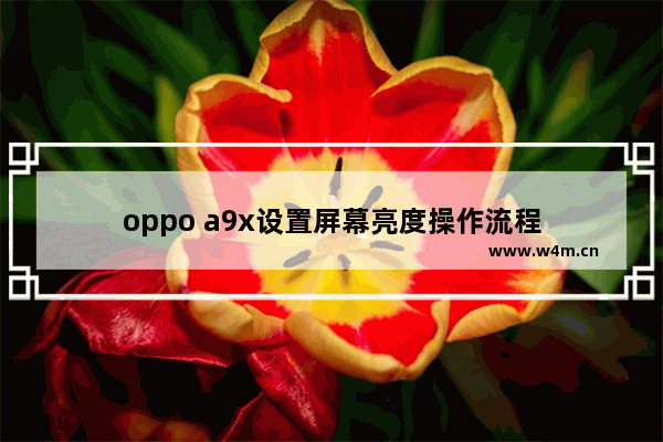 oppo a9x设置屏幕亮度操作流程