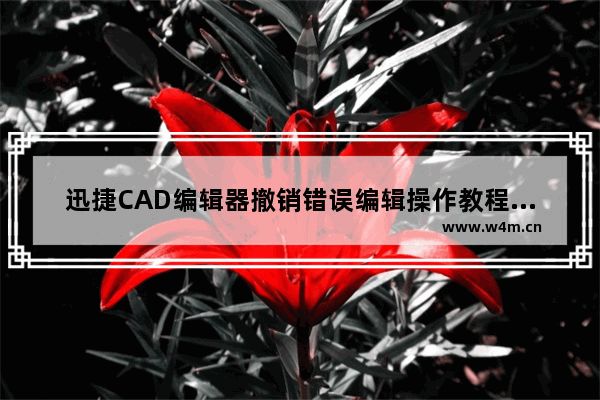 迅捷CAD编辑器撤销错误编辑操作教程分享