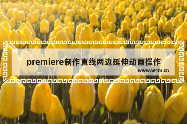 premiere制作直线两边延伸动画操作流程