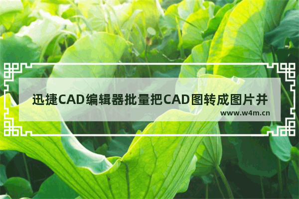 迅捷CAD编辑器批量把CAD图转成图片并自定义图片属性操作过程