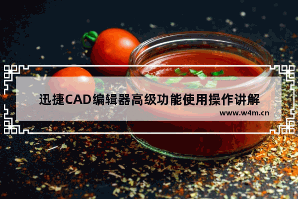 迅捷CAD编辑器高级功能使用操作讲解