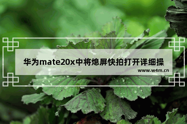 华为mate20x中将熄屏快拍打开详细操作方法