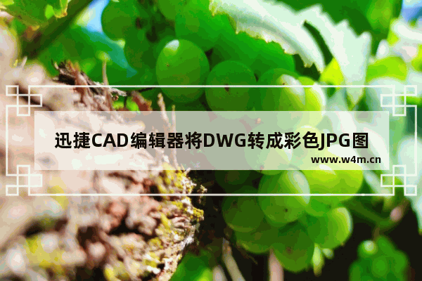 迅捷CAD编辑器将DWG转成彩色JPG图片的方法