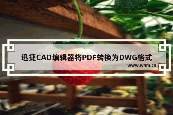 迅捷CAD编辑器将PDF转换为DWG格式的方法