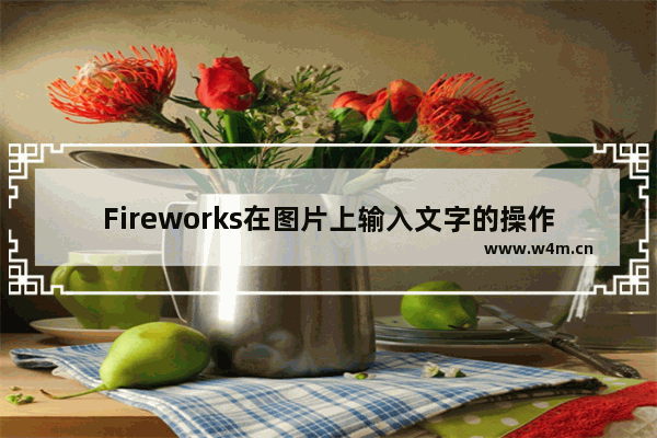 Fireworks在图片上输入文字的操作过程