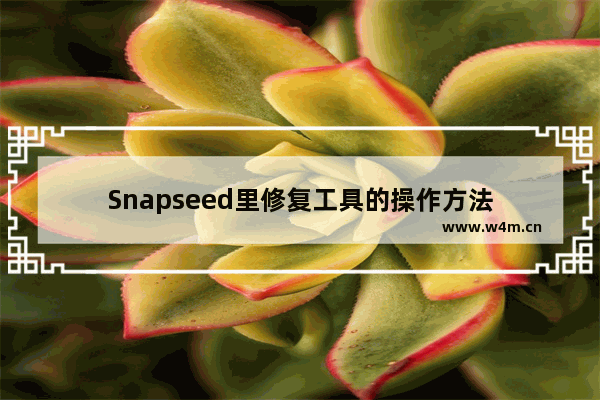 Snapseed里修复工具的操作方法