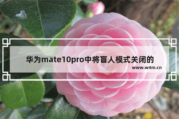 华为mate10pro中将盲人模式关闭的操作方法