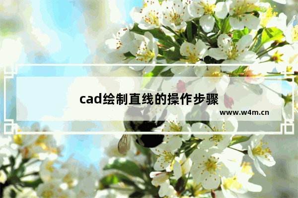 cad绘制直线的操作步骤