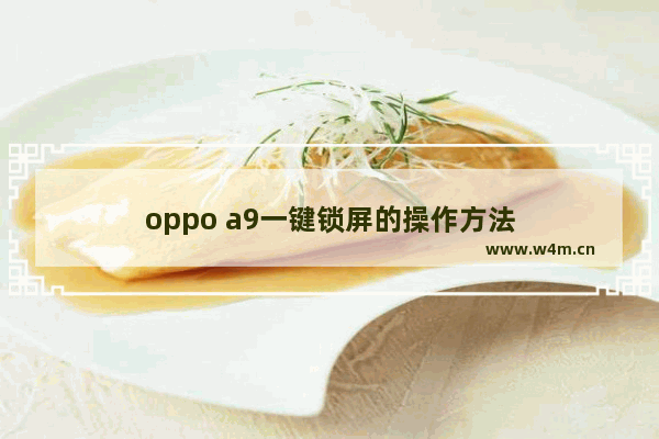 oppo a9一键锁屏的操作方法