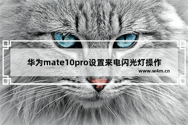 华为mate10pro设置来电闪光灯操作步骤