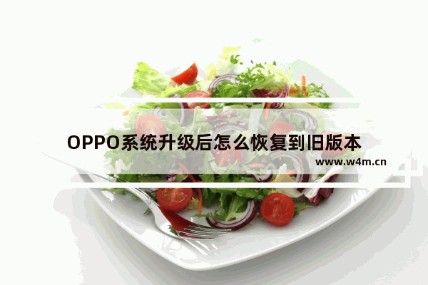 OPPO系统升级后怎么恢复到旧版本