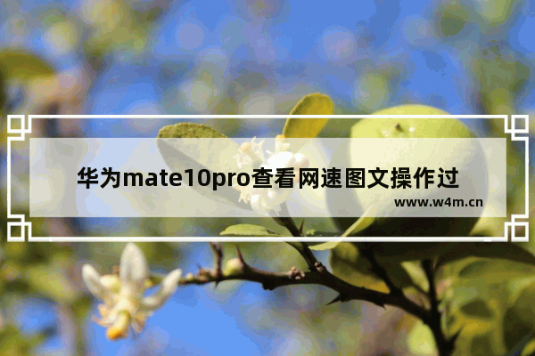 华为mate10pro查看网速图文操作过程