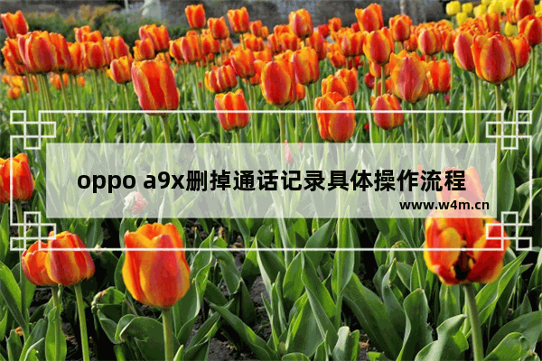 oppo a9x删掉通话记录具体操作流程