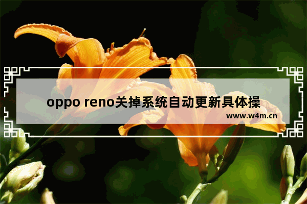 oppo reno关掉系统自动更新具体操作方法