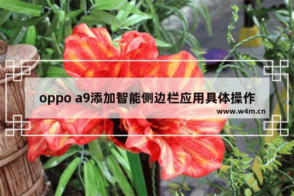 oppo a9添加智能侧边栏应用具体操作方法