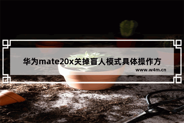 华为mate20x关掉盲人模式具体操作方法