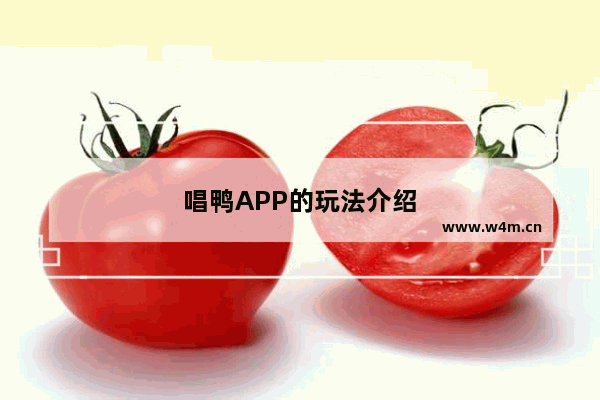 唱鸭APP的玩法介绍