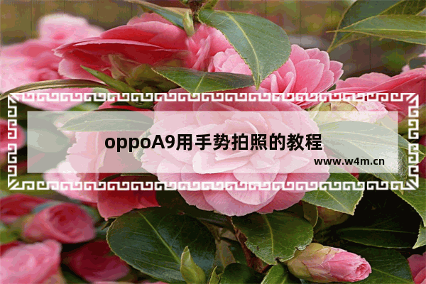 oppoA9用手势拍照的教程