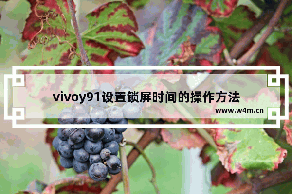 vivoy91设置锁屏时间的操作方法