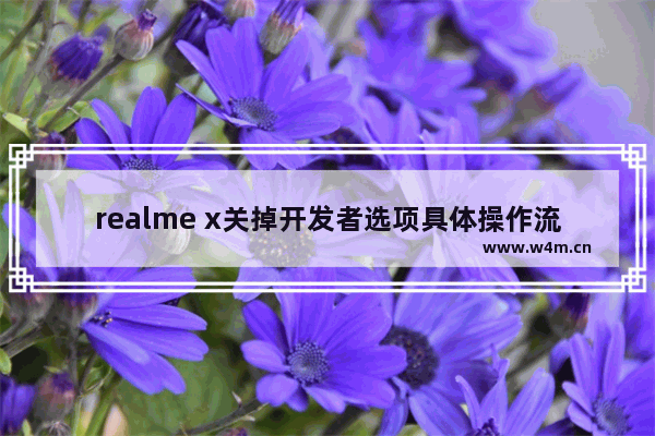 realme x关掉开发者选项具体操作流程