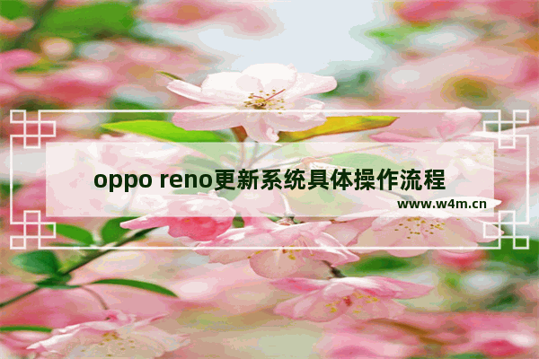 oppo reno更新系统具体操作流程