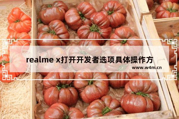 realme x打开开发者选项具体操作方法