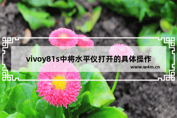 vivoy81s中将水平仪打开的具体操作方法