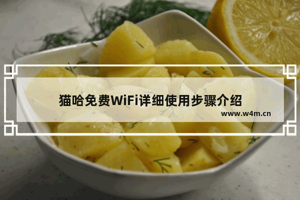 猫哈免费WiFi详细使用步骤介绍