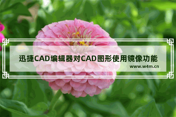 迅捷CAD编辑器对CAD图形使用镜像功能的方法