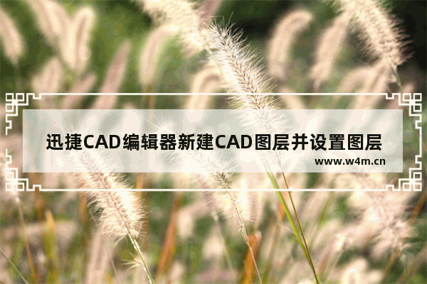 迅捷CAD编辑器新建CAD图层并设置图层属性的方法