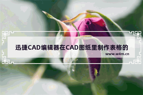 迅捷CAD编辑器在CAD图纸里制作表格的方法