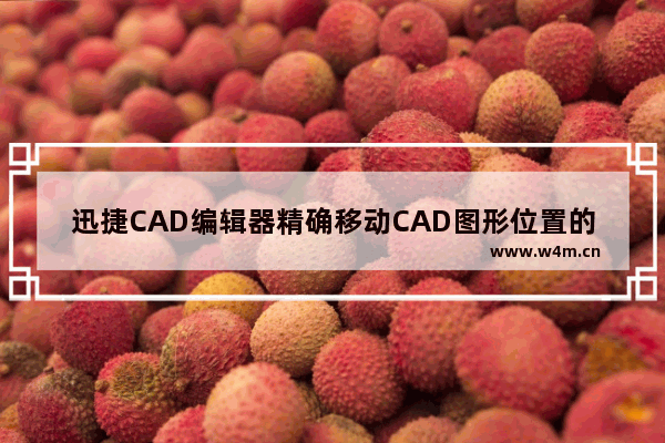 迅捷CAD编辑器精确移动CAD图形位置的方法