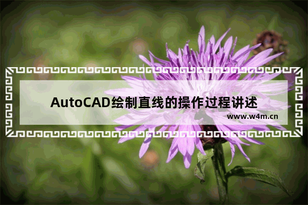 AutoCAD绘制直线的操作过程讲述