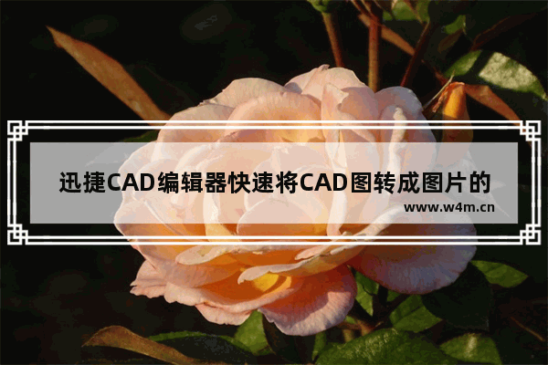 迅捷CAD编辑器快速将CAD图转成图片的方法