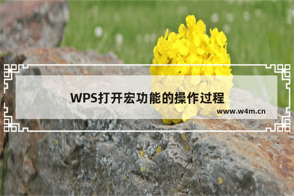 WPS打开宏功能的操作过程