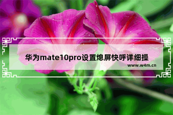 华为mate10pro设置熄屏快呼详细操作方法