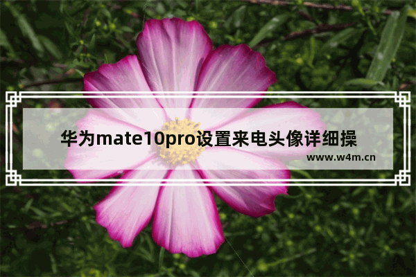 华为mate10pro设置来电头像详细操作方法