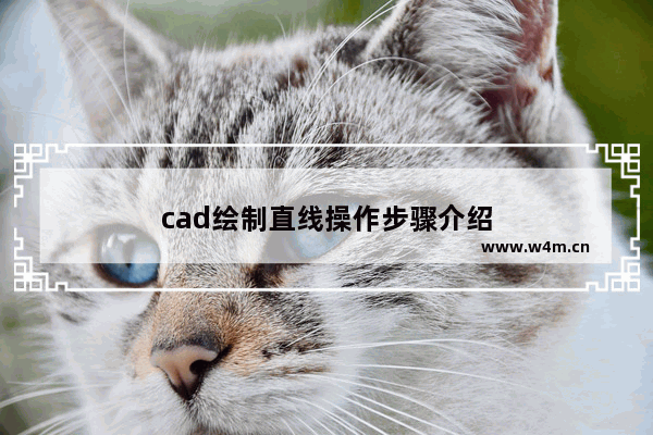 cad绘制直线操作步骤介绍