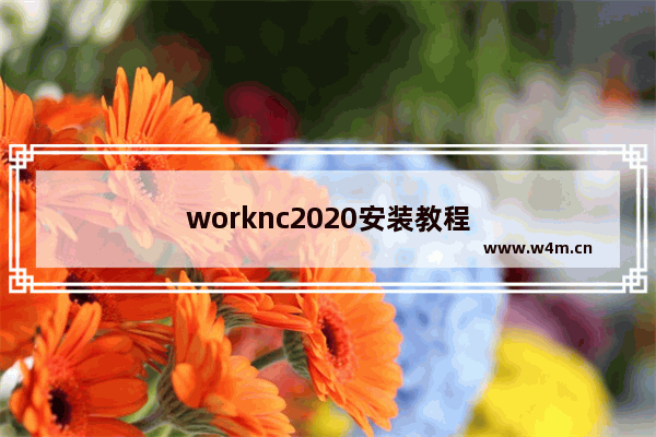 worknc2020安装教程