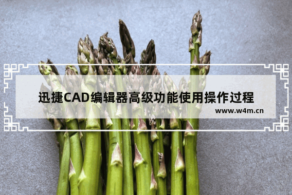 迅捷CAD编辑器高级功能使用操作过程