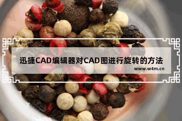 迅捷CAD编辑器对CAD图进行旋转的方法