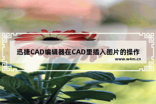 迅捷CAD编辑器在CAD里插入图片的操作教程