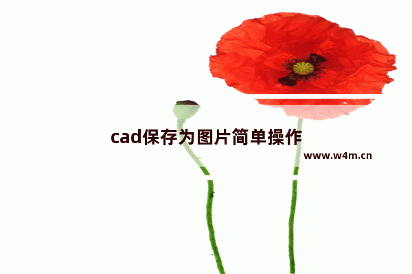 cad保存为图片简单操作